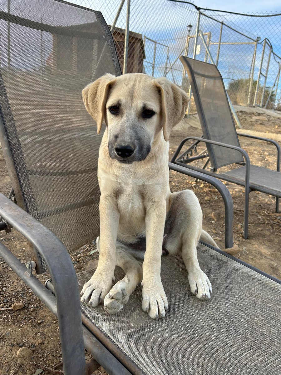 Ich wünsche euch allen einen schönen Tag