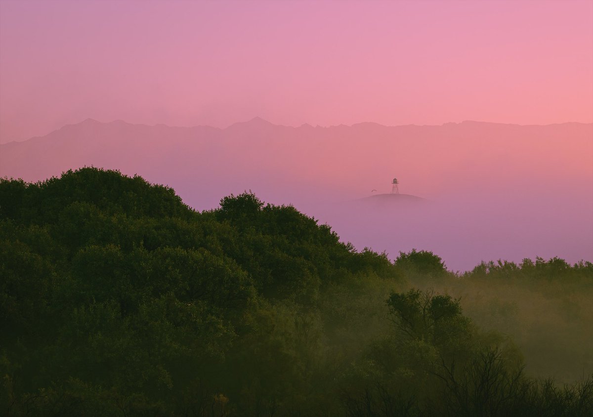 I’m Niloofar and this is my photo