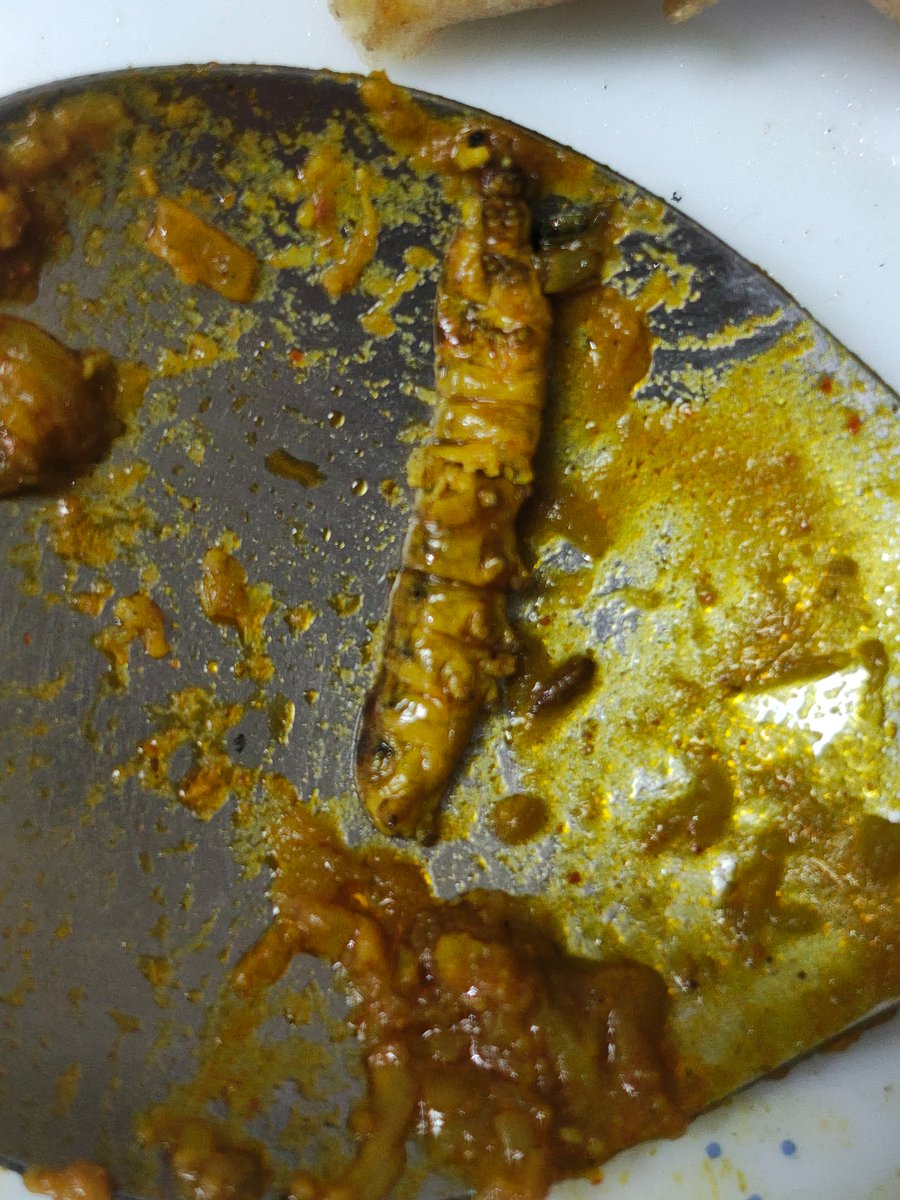 divyadas16's tweet photo. @foodsafetydelhi we ordered from jai shri krishna dhaba, Shop No 9, IGNOU Main Rd, Saiyad ul Ajaib, Delhi 110030
,serving insects, unhygienic, posing public threat. owner does not care about cleanliness. we vomited and had to take deworming tablets. such vendors should be removed https://t.co/Ui85Yg71lh