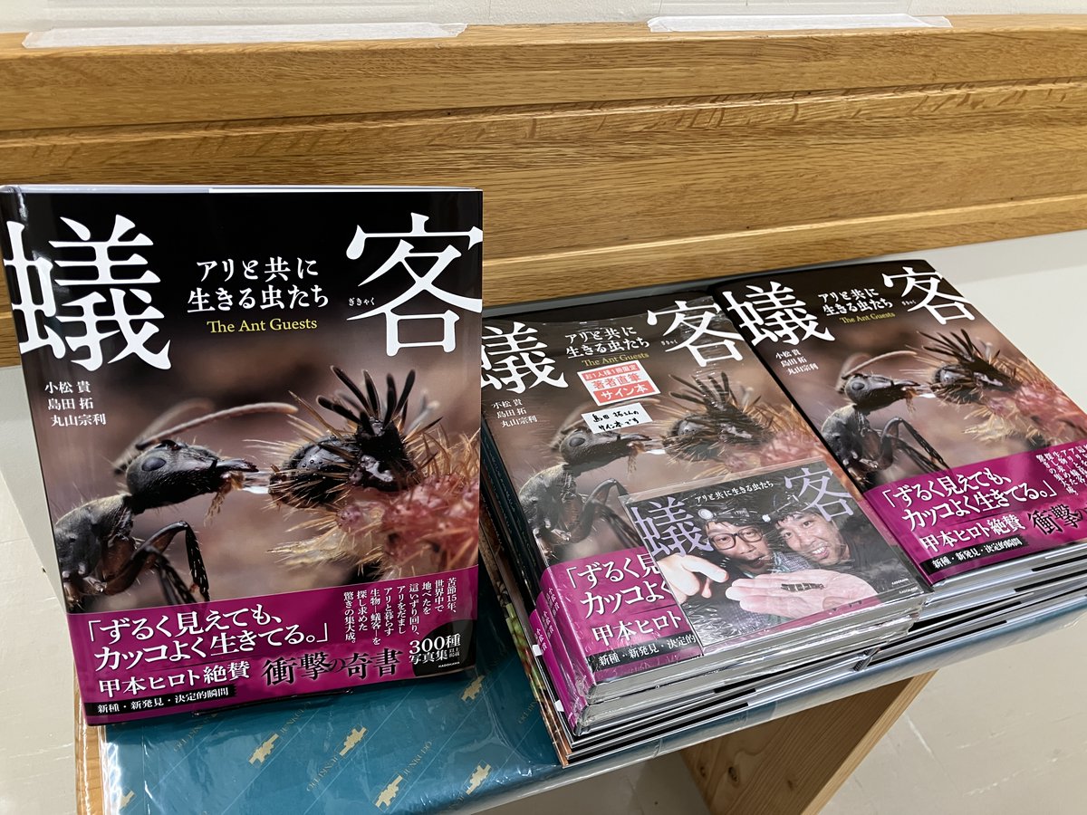 太陽に蟻 太陽に蟻 8月 | 2024 | anttech.jp