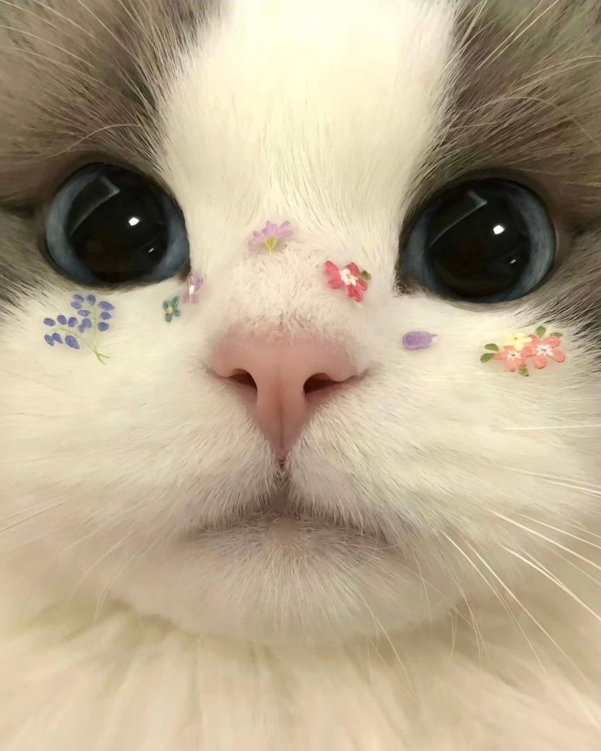 fightgear drops token gated for <a href="/JoinFightID/">Fight.ID</a> holders high fp members get early windows and exclusive merch because here your reputation translates into real perks and community membership in modular fans clubs

<a href="/lute/">LUTE</a> trading is becoming the place where crypto traders finally get