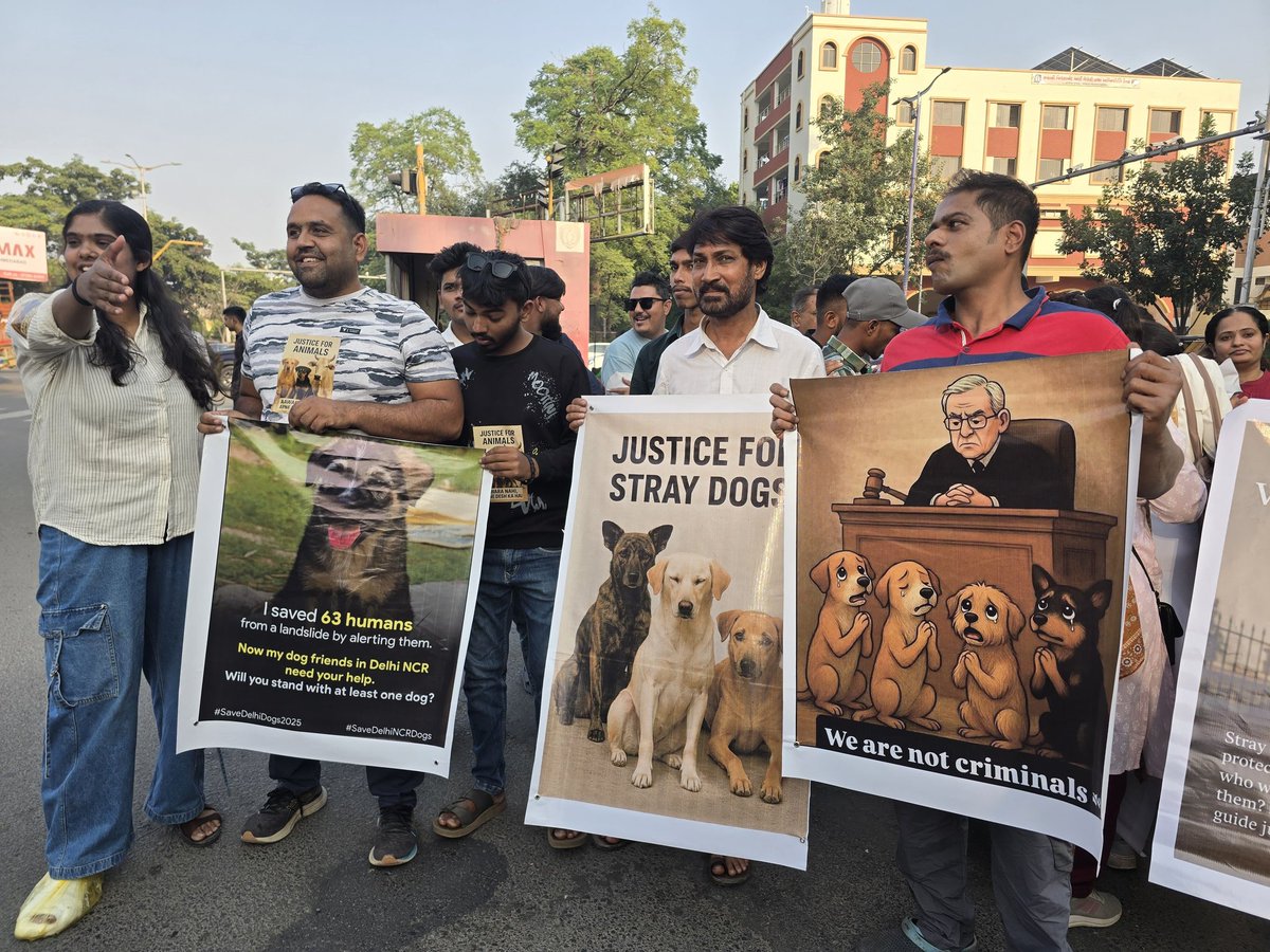jarshesh's tweet image. #saveindiandogs #savedogs 
#Vadodara