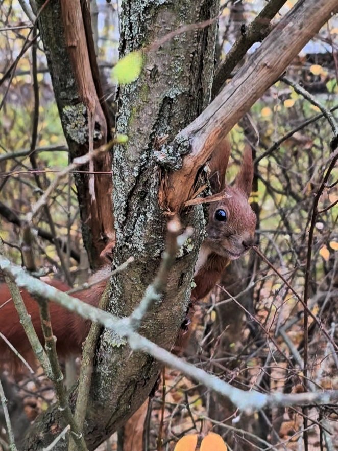 Da lauert ein Kerl im Gebüsch 😳🤭