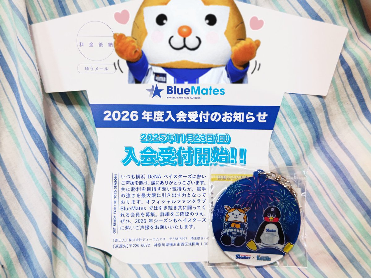 ミエちゃん (@Miemie1313) / Posts / X