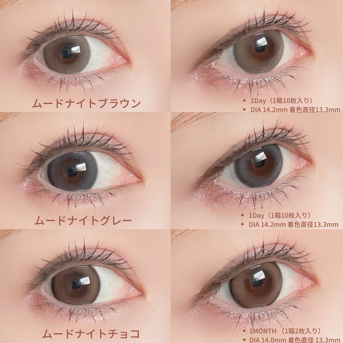 アンモナイト 大 BIG クリーム×グレー 美しい アンモナイト 大 BIG