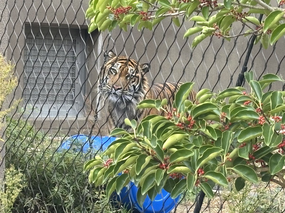 久しぶりのアオくんにも会えて嬉しかったっす