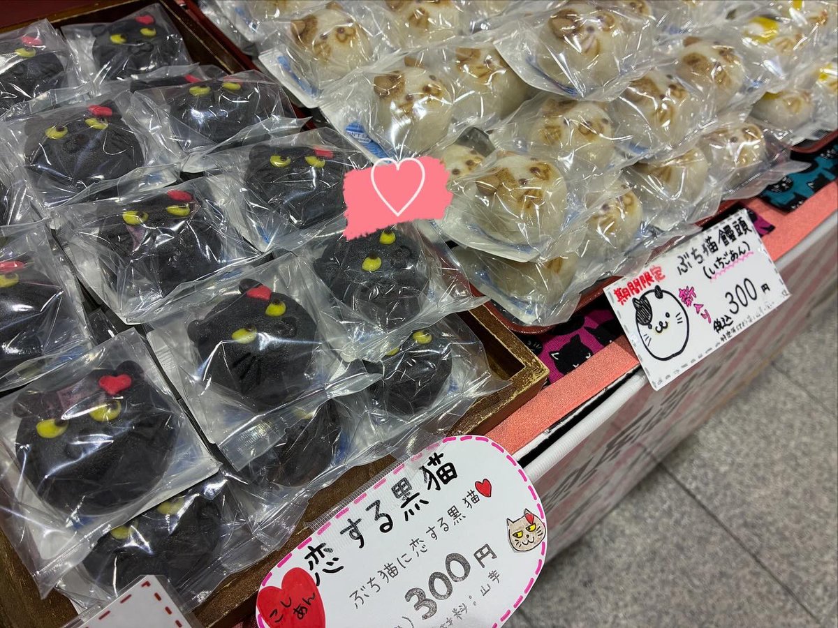 \⋆͛📢本日11/18より【 #JR川越駅 】にて 、#催事 スタートです🐈🐾/

日程📅11月18日〜11月25日
場所📍JR川越駅券売機前
時間🕚12時〜20時
　　　※営業時間は施設の営業時間に準じます

ご来店、心よりお待ちしております💁‍♀️💖

#あわ家惣兵衛 #和菓子 #猫和菓子 #猫まんじゅう #猫どら焼き