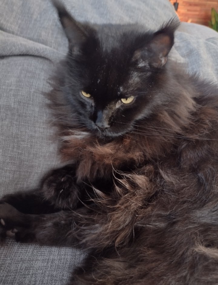 dadofthrud's tweet image. Hab ihn vielleicht etwas zu früh geweckt