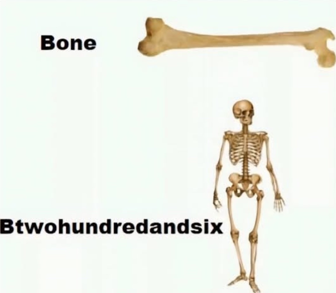 Respectful Memes (@respectfulmemes) on Twitter photo 