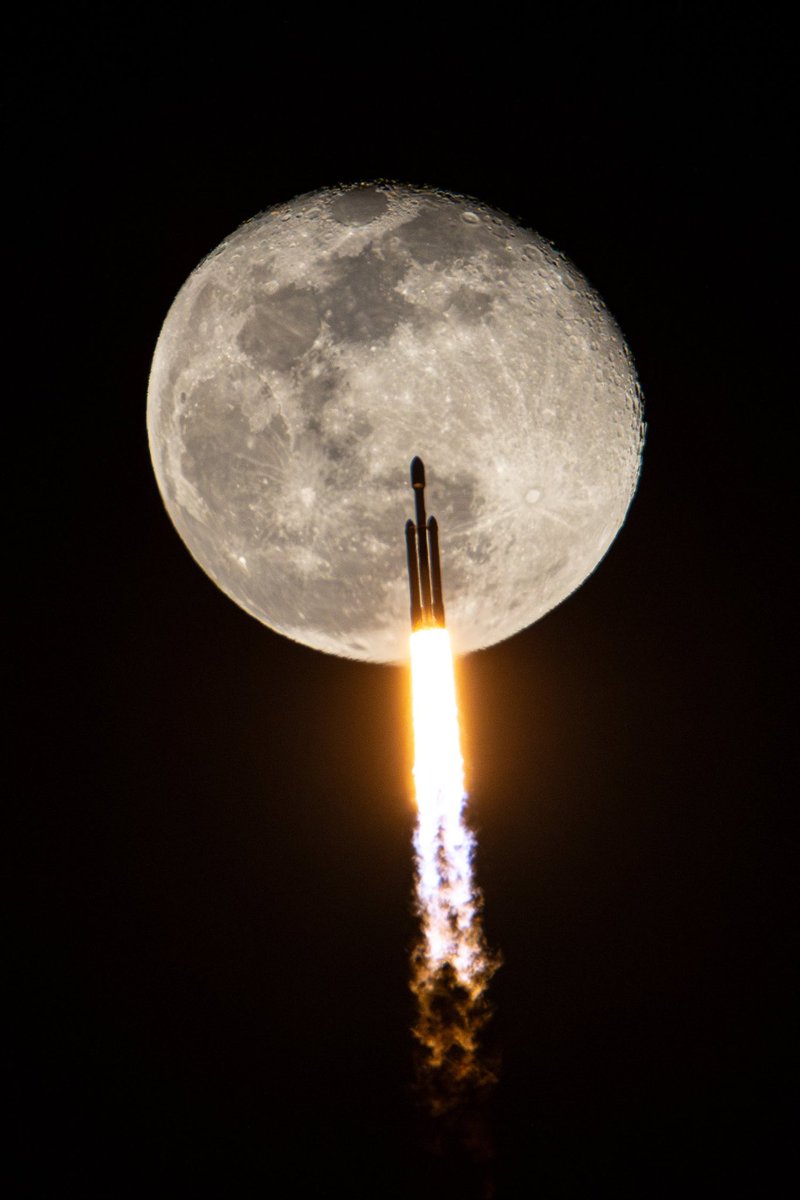 老六六六六. tweet media