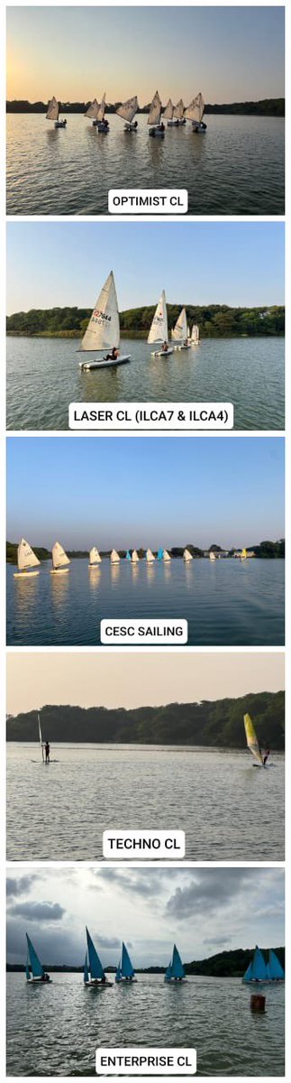 NOAI REGATTA tweet media
