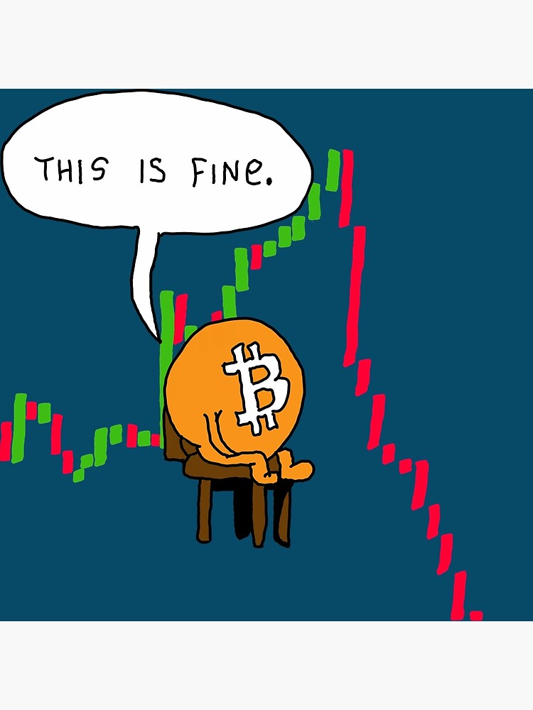 Timz4lyf's tweet image. 