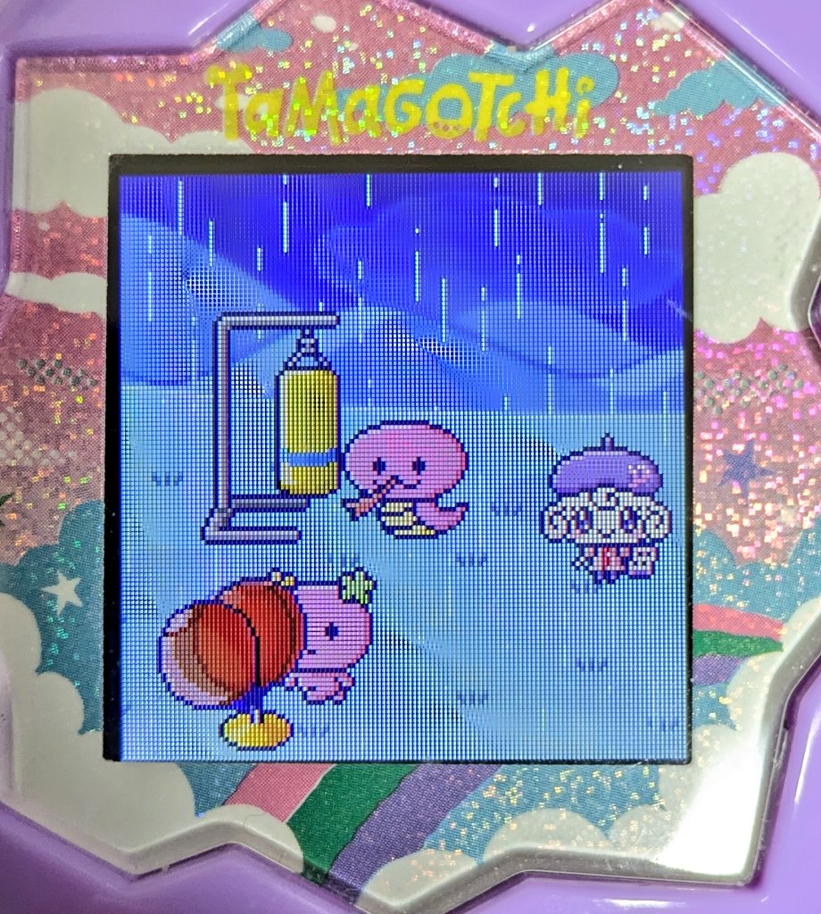 何か可愛い子ちゃんもおった😘