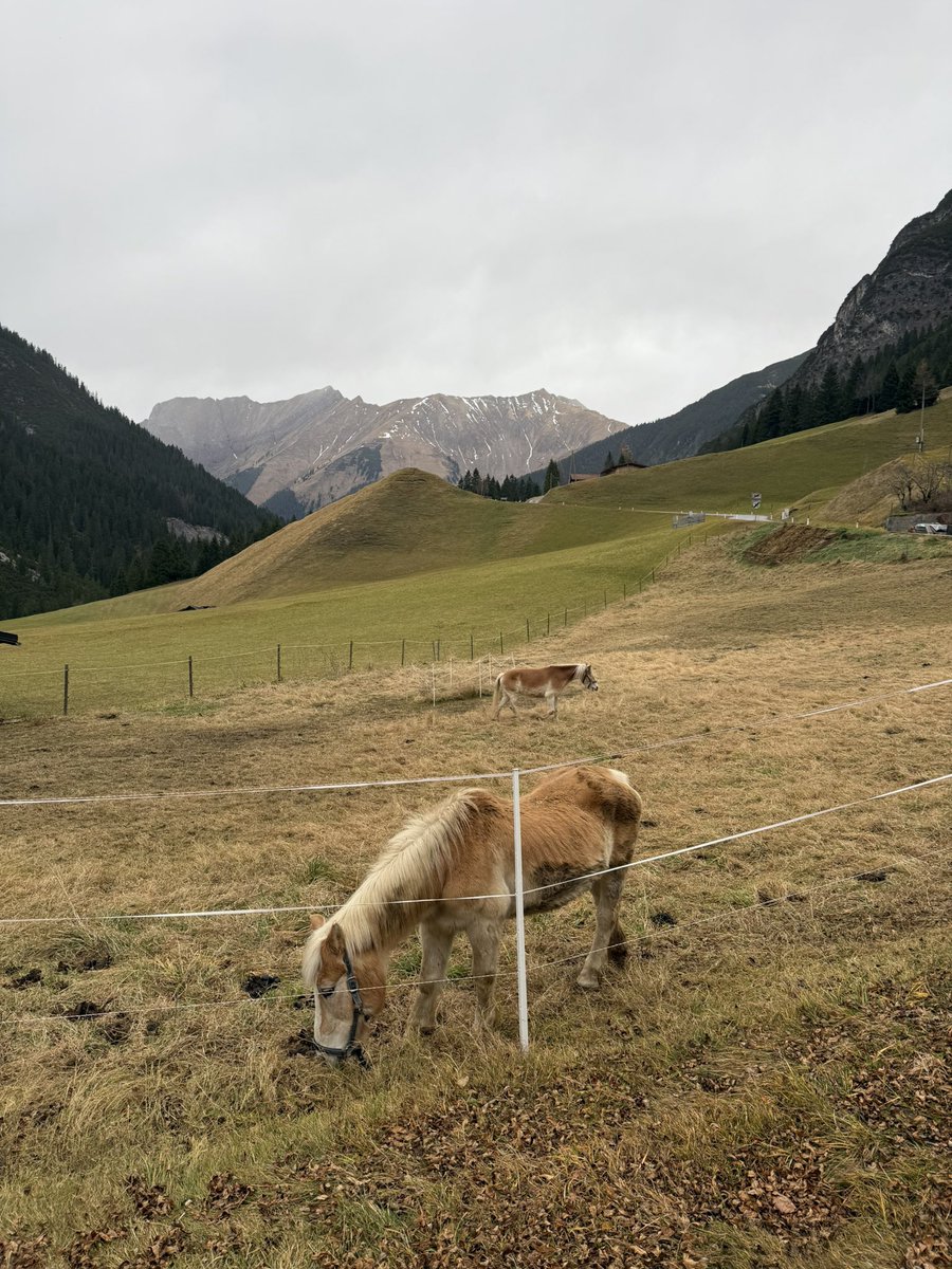 cryptobuilder_'s tweet image. Weekend be like: