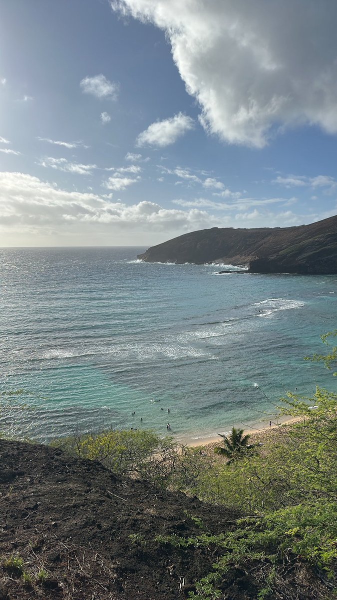 Simpinnkimm's tweet photo. Mahalo 🌺 https://t.co/rMu9Uze6oe