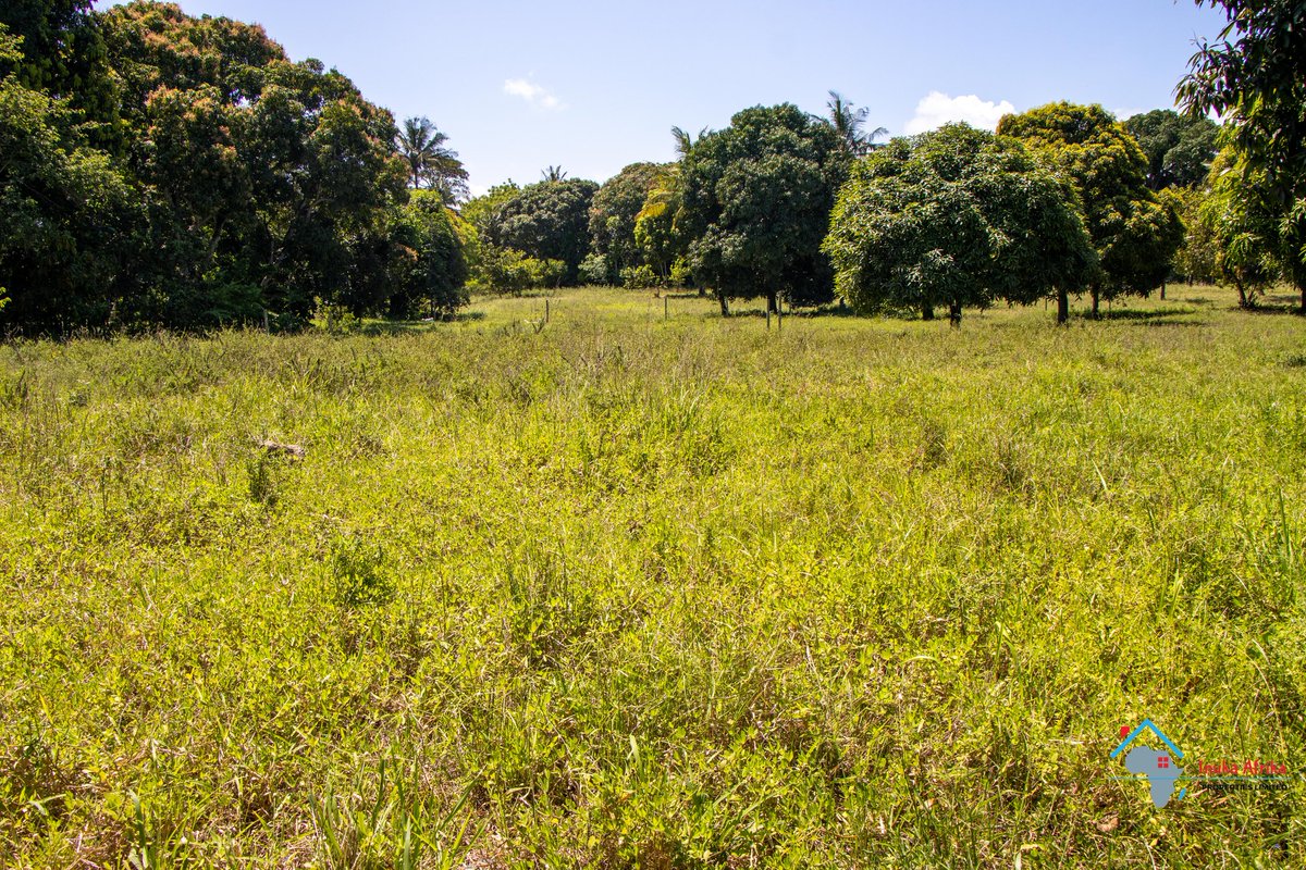 lilmissariess's tweet image. Mtwapa plots with ready titles 
About 2.5km from Oasis Hospital
Going for 1,450,000, Deposit is 500,000 balance payable in 12 months
Next to Kwetu &amp;amp; Peacock Hotels 
Close to Ndonya Police Station
Near St. Bernadette School and Good life Orphanage