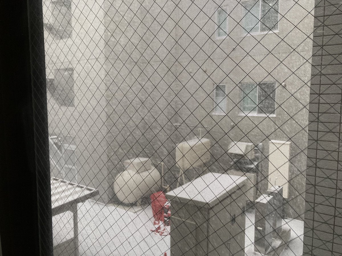 しみず tweet media