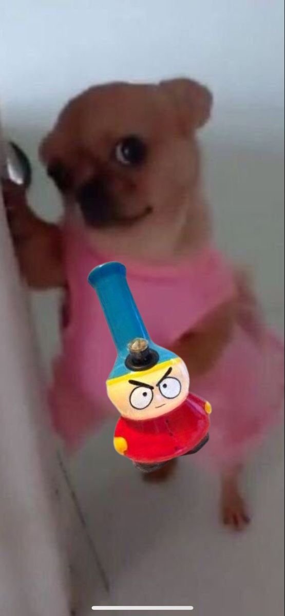 Moonwhiskerr's tweet image. Yeah guys my mom said sharing is caring
.
#smoking #smokingcrack #weedtwt #vapetwt