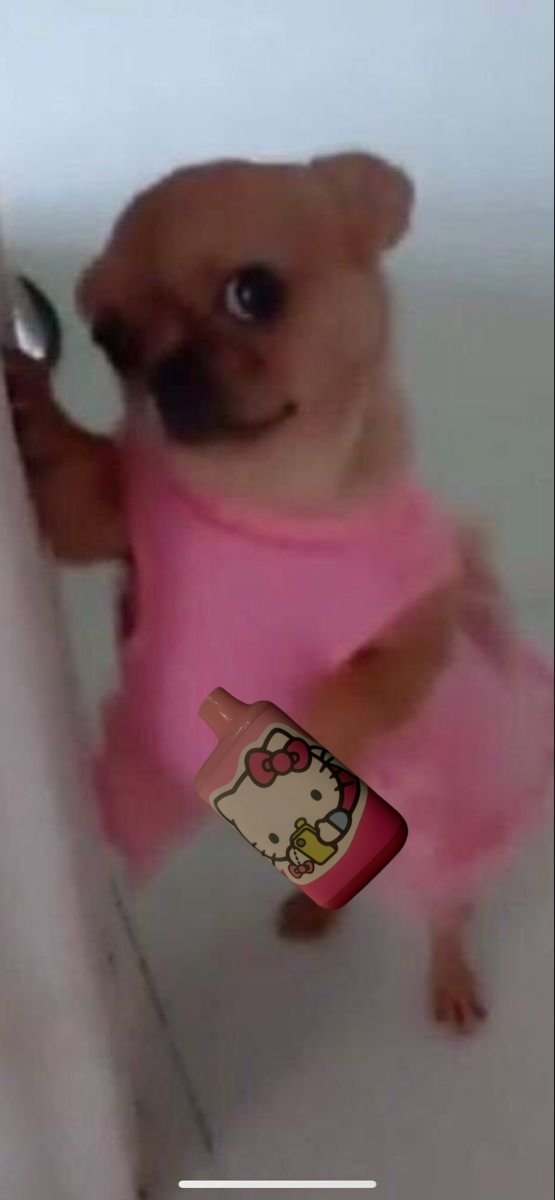 Moonwhiskerr's tweet image. Yeah guys my mom said sharing is caring
.
#smoking #smokingcrack #weedtwt #vapetwt