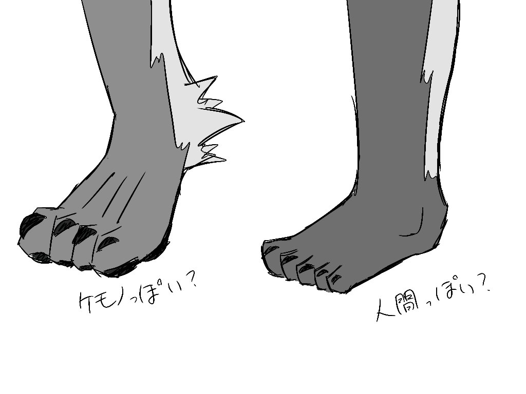 左の方の足の方が個人的に好き。