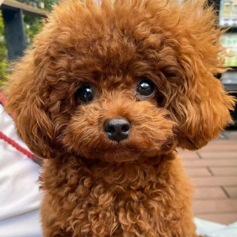 ช่ายเลย