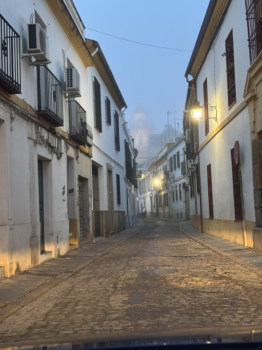 Mañanitas de niebla…