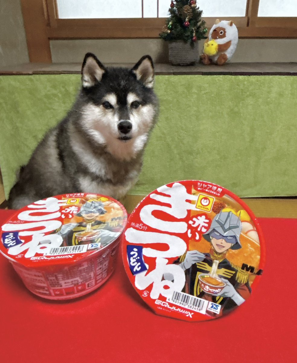 シャア専用 赤いきつね❤️ヤマナカにてゲット😉😸