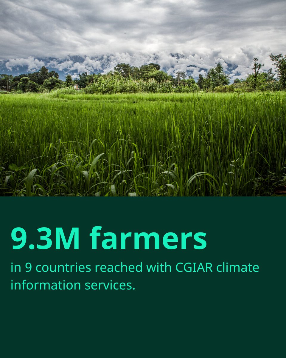 CGIAR's tweet image. 9.3M farmers in 9 countries accessed CGIAR climate information through TV, SMS &amp;amp; voice services (2022–2024). 

With @CGIARAfrica  reaching 4M farmers, digital platforms are helping smallholders adapt to climate shocks and secure resilient harvests. 

🔗 on.cgiar.org/40xSqlh