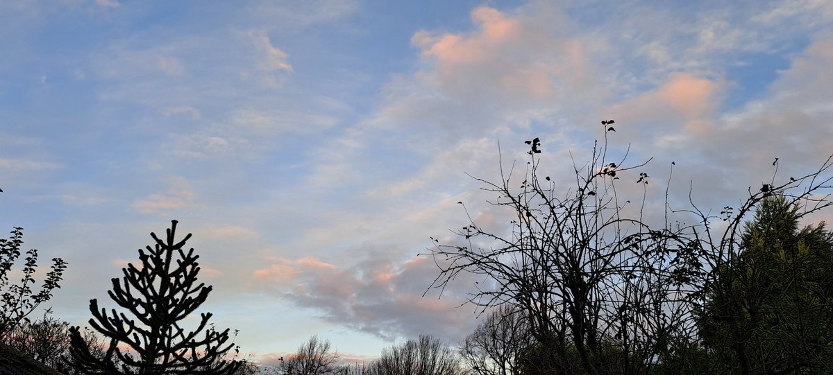 bosworth_alison's tweet image. 💙🩶🧡 a cold, bright start today, love it 🧡🩶💙

18.11.2025

#ViewFromTheWindow
