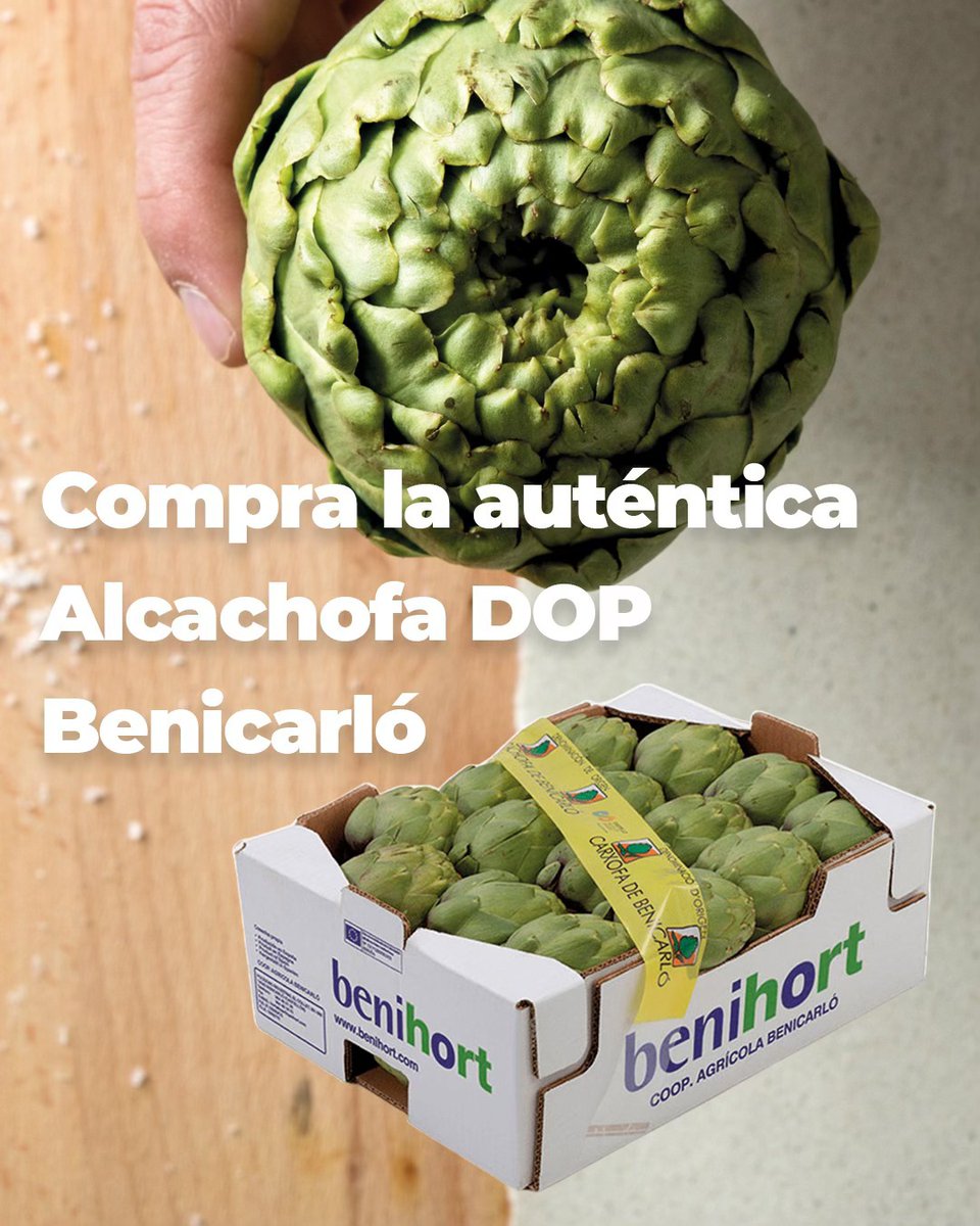 🇪🇦💚😊Empezamos el martes ¡con buenas noticias! Por fin llegan a #Benihort las auténticas alcachofas DOP Benicarló.

🛒📲 Ya puedes comprarla tanto en el #supermercado como en la #eshop. 👉linktr.ee/benihort.com

ℹ️ De momento, disponible en formato pequeño. Caja de 3,5 kg.