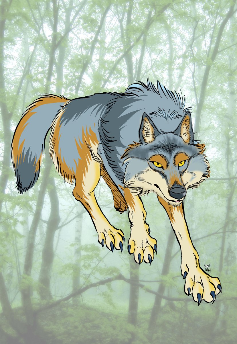 オオカミの絵 Amazon.co.jp: 絵画 凶暴なオオカミ アートパネル ポスター 超リアルな