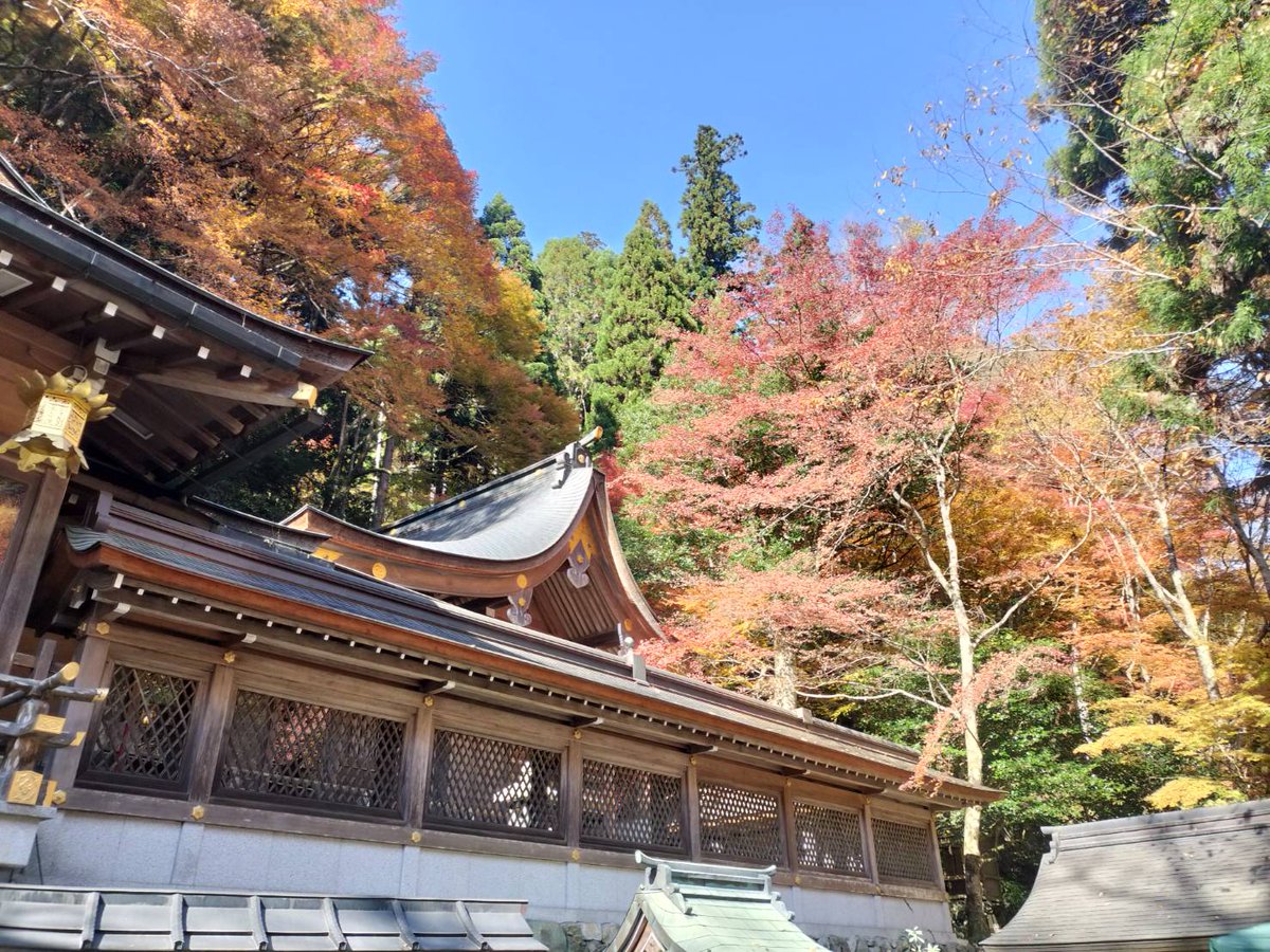genta2123's tweet photo. 昨日（11月17日）、貴船神社に行ってきました😚貴船口駅から頻繁にバス🚍️出ていますが、通常より少し手前で降りることになります😗 https://t.co/JlOn7cDPL3