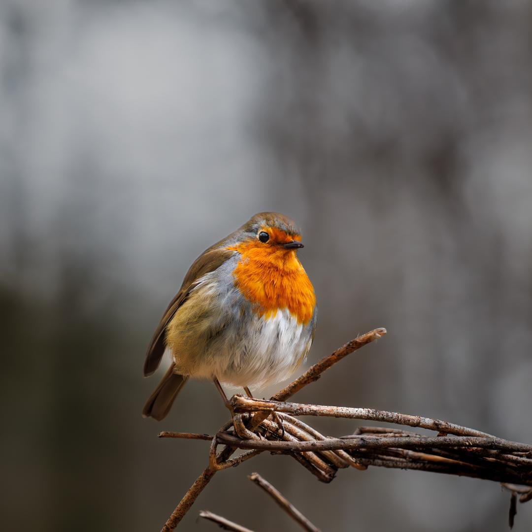 Good Morning and a happy Tuesday!