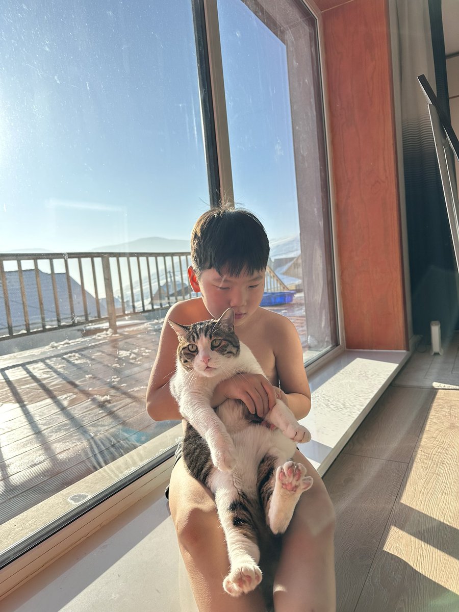 Аюулгүй байдлын төлөө хүмүүс хамаг зүйлээ хаяад дүрвэдэг.
Өвлийн хүйтэн, утаанаас гадагш зугтаж байгаа нь ердөө л аюулгүйн төлөөх хүний эрүүл үйлдэл.
Яг хажуудаа сайн сургуультайсан бол хөдөө л гарч амьдрах л хамгийн боломжит “дүрвэлт”.