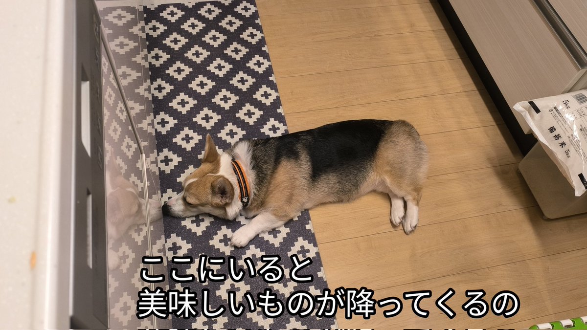 何しているかって？