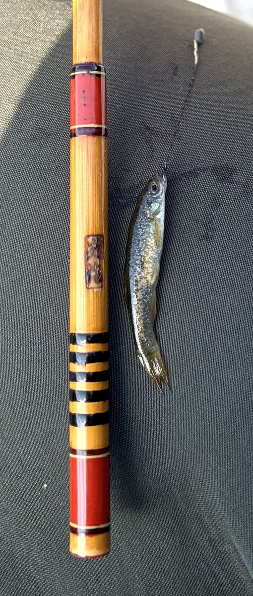 すぴん (@spinangler) / Posts / X