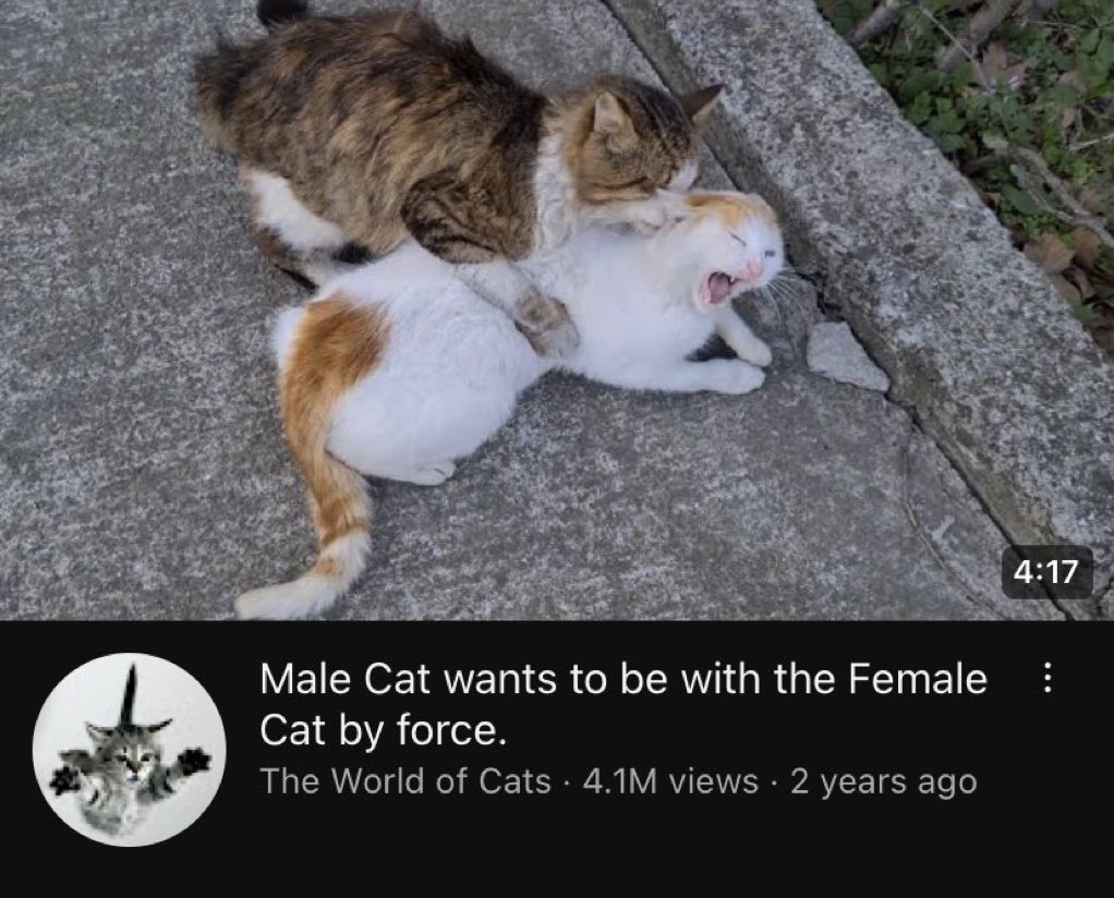 CaribbeanRythms's tweet image. 