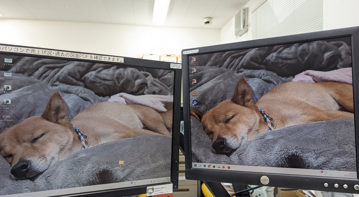 業務効率化おばけの私のくせに最近残業がやけに増えてるのは、期首＆主幹の認証更新審査が近いからではなくて作業効率を無限に蝕むこのPC背景画像のせいだという真理に気づき始めた…

今日もお疲れ様でした😇

#呟いてる場合ではない
#残業します
#企業公式がお疲れ様を言い合う