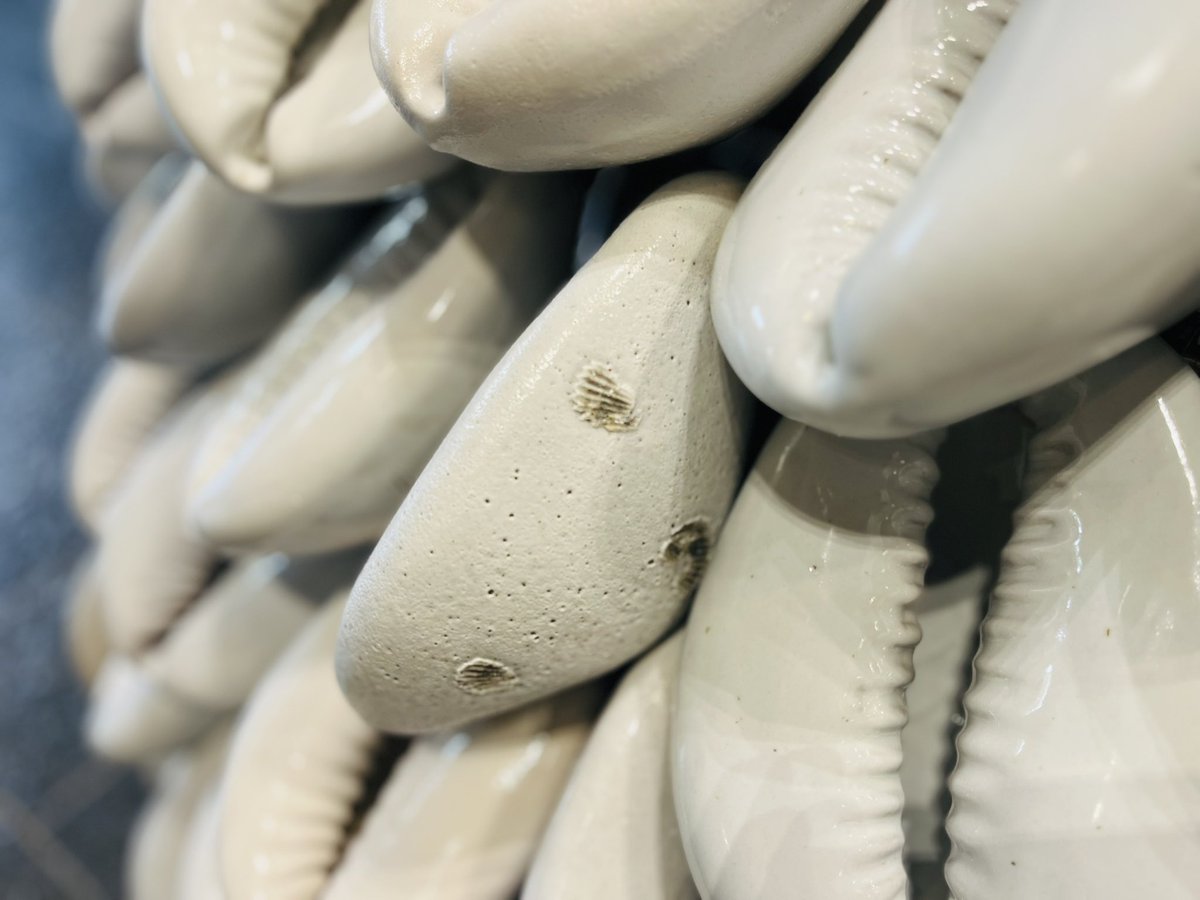 今週は中部地方遠征 国際芸術祭あいち2025 「灰と薔薇のあいま」に貝