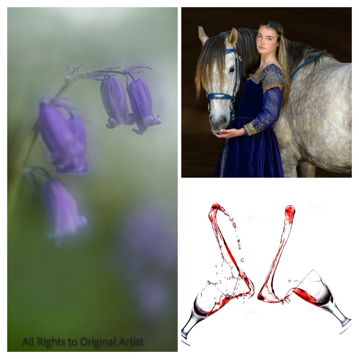 Congratulations to all entrants and in particular our winners of part one of our 2025 DPIOTY competition. Amazing images amongst a strong cohort of entries from our members.
All images are available to view at our website smcc.org.uk