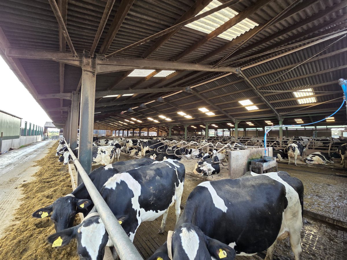 Intemax1's tweet photo. The Intemax team have had a busy few weeks out on dairy farms across the country, carrying out bacterial swabbing and water testing. 🐄

It’s always inspiring to see the boost in performance that comes from high-quality products and dependable service. https://t.co/9k4MUVeEsZ