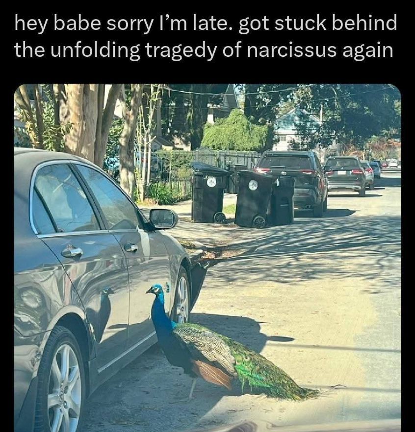 CSMFHT's tweet image. 