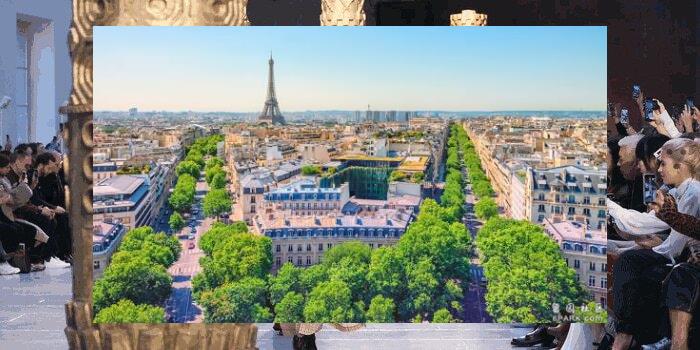 Han23371's tweet image. 🌫Coffee love the stars — always.❄Cat plays, toy.