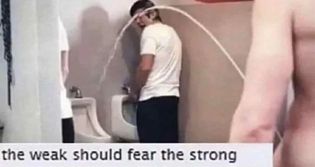 no context memes (@weirddalle) on Twitter photo 