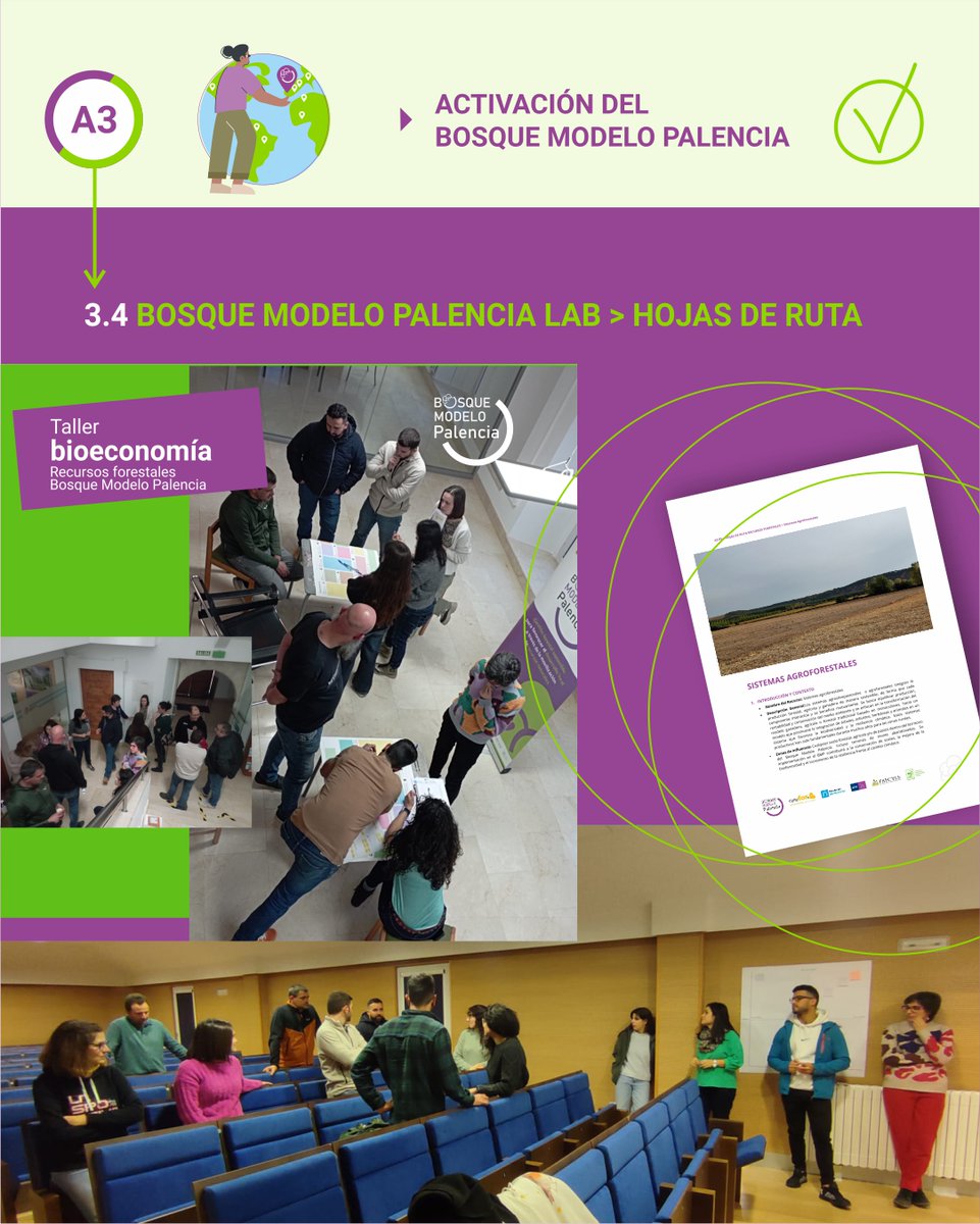 Proy_BMPalencia's tweet image. #RESULTADOS
13 y 20 de marzo ➡️s &quot;Talleres de bioeconomía forestal&quot;
Hojas de ruta ➡️ impulsar la bioeconomía en esta zona.
Asesoramiento y apoyo 2 proyectos #Ecofungi + iniciativa ligada a la apicultura

@FBiodiversidad  #ProyectosPRTR #PlanDeRecuperación