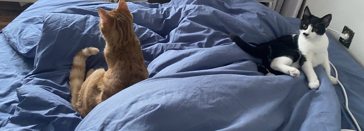 sizinle uyanmayi seviyorum