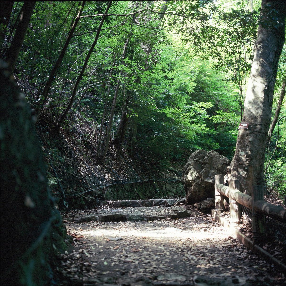 morokoshilll's tweet image. silent.