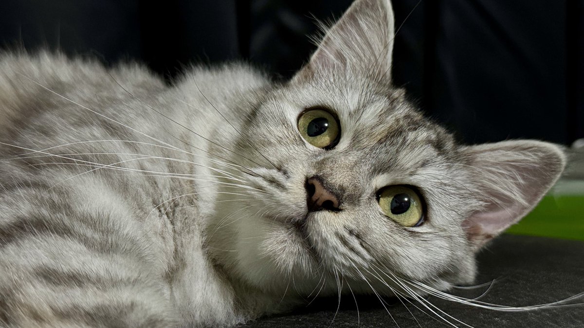 ChockTalks's tweet image. Minsan, gusto ko na lang tumunganga!