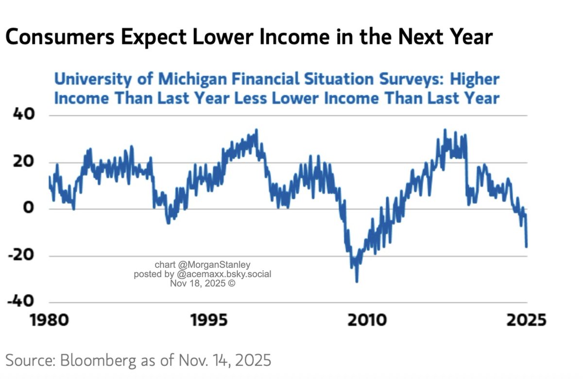 acemaxx's tweet image. US #consumers expect lower income in the next year, chart @MorganStanley