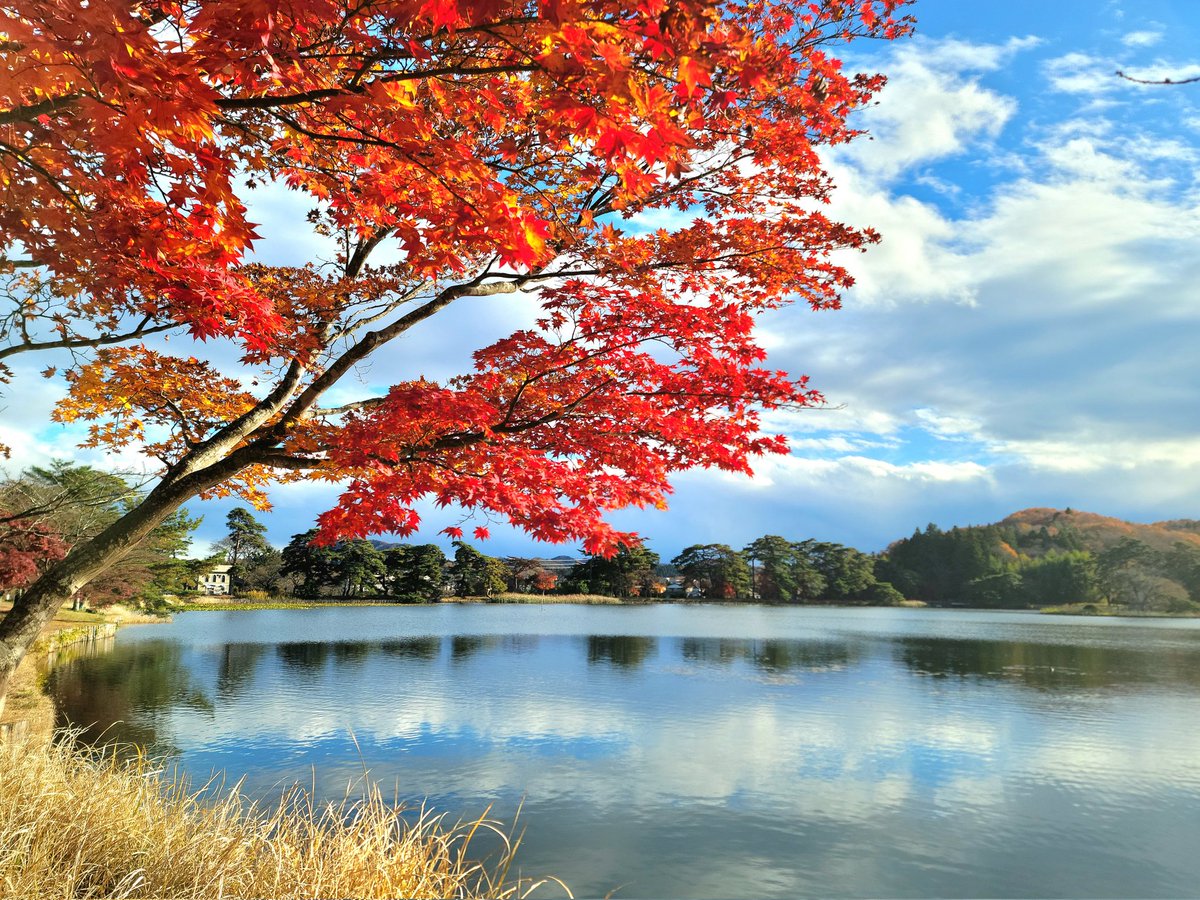 space72040357's tweet photo. 山、紅葉が綺麗だった
風は冷たくて体感ほぼ冬の寒さ https://t.co/UbdowqAopv